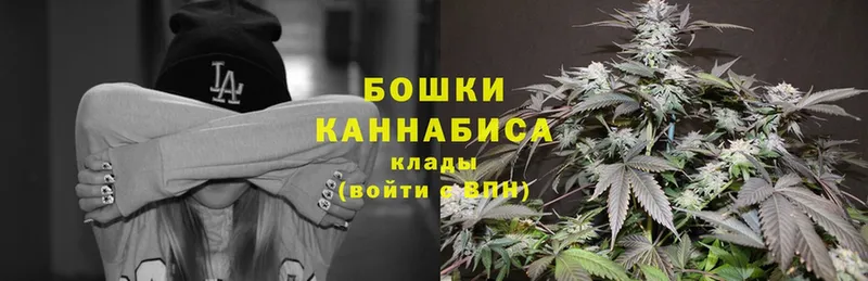 Каннабис OG Kush  Белая Калитва 